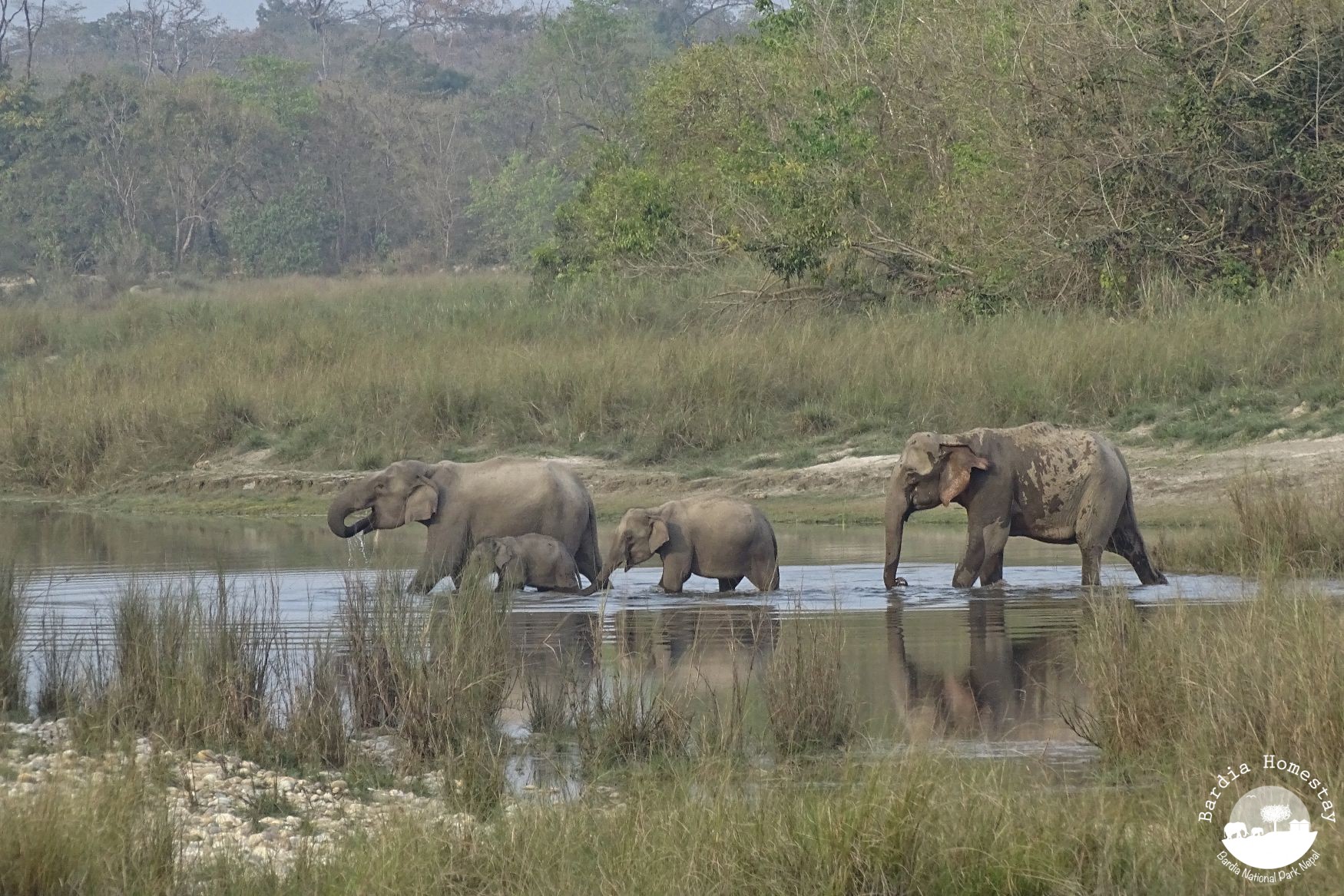 Bardiya National Park 